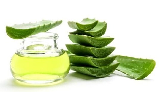 Aloe vera: Apply fresh aloe vera gel to your hands and let it sit for 10-15 minutes before rinsing off with warm water. Aloe vera has hydrating and healing properties that can help soften and soothe rough, dry hands.&nbsp;(Getty Images/iStockphoto)