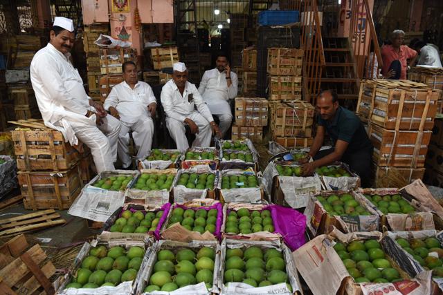 With Gudi Padwa, 50,000 Alphonso mangoes enter APMC market at Turbhe . in Navi Mumbai, India, on Wednesday, March 22, 2023. (Bachchan Kumar/ HT PHOTO) With Gudi Padwa, 50,000 Alphonso mangoes enter APMC market at Turbhe . in Navi Mumbai, India, on Wednesday, March 22, 2023. (Bachchan Kumar/ HT PHOTO)