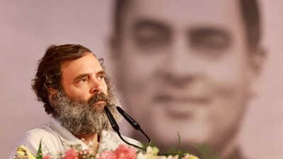 This family always places its partisan interest on a higher pedestal than national interest and the BJP's biggest political contribution is to end this dynastic rule. (PTI) This family always places its partisan interest on a higher pedestal than national interest and the BJP's biggest political contribution is to end this dynastic rule. (PTI)