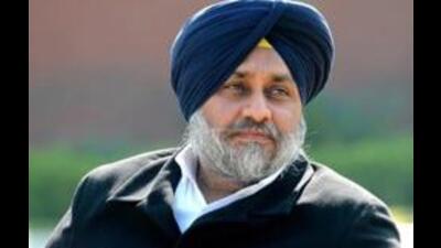 Sukhbir also demanded a compensation of  ₹ 50,000 per acre for all farmers whose crops have been severely damaged due to the inclement weather and a compensation of  ₹25,000 per acre for partial damage of wheat crops. (HT File Photo)