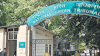 The NGT asked the union environment ministry to do a fresh appraisal in the next three months (Representative Photo)