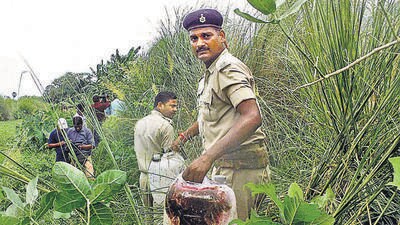 The report, which was recently uploaded on the NHRC website, dismissed claims of the state government that 42 people had died in the tragedy during December 13-16 last year, stating that at least 77 lives were lost. (PTI) The report, which was recently uploaded on the NHRC website, dismissed claims of the state government that 42 people had died in the tragedy during December 13-16 last year, stating that at least 77 lives were lost. (PTI)