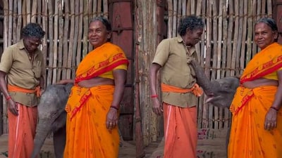 The Elephant Whisperers couple adopts another elephant. (Twitter/@supriyasahuias) The Elephant Whisperers couple adopts another elephant. (Twitter/@supriyasahuias)