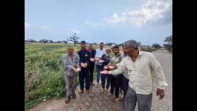 Unseasonal rains and hailstorm have caused widespread damage to wheat, late-sown mustard, barley and vegetables in Mahendergarh and some pockets of Charkhi Dadri on Friday. The rainfall, which lashed the state in the last few days, has caused huge damage to the crops. (HT Photo)