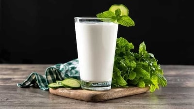 Buttermilk: Buttermilk is a traditional Indian drink made with yogurt, water, and spices. It is a good source of calcium, protein, and essential vitamins. It also helps in digestion and keeps the body hydrated. (Freepik)