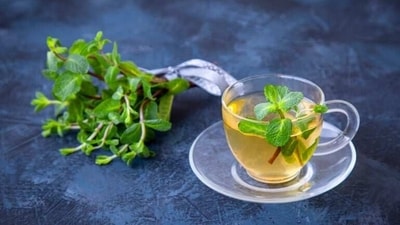 Herbal Tea: Tea made with herbs like ginger, lemongrass, and tulsi (holy basil) is another popular Navratri fasting drink option. These herbs have medicinal properties and can help in digestion and boost the immune system. (Shutterstock)