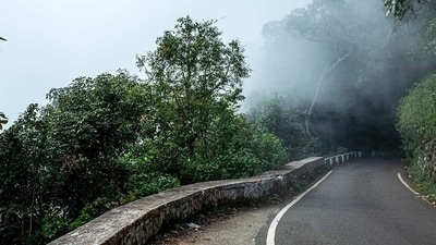 5. Ooty: A quintessential hill station located in the Nilgiri Hills of Tamil Nadu. It offers serene landscapes, colonial architecture, and lush greenery. Don’t forget to try the famous Nilgiri tea. (Pixabay) 5. Ooty: A quintessential hill station located in the Nilgiri Hills of Tamil Nadu. It offers serene landscapes, colonial architecture, and lush greenery. Don’t forget to try the famous Nilgiri tea. (Pixabay)