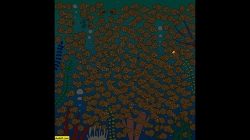 Viral Brain Teaser: The image highlights the goldfish hidden among clownfish. (Facebook/@thedudolf) Viral Brain Teaser: The image highlights the goldfish hidden among clownfish. (Facebook/@thedudolf)