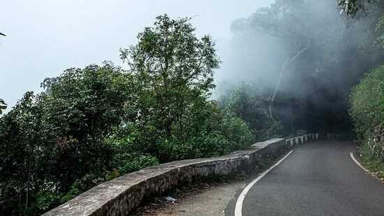 6. Ooty: Ooty is a quaint hill station in Tamil Nadu. This place is famous for its lush greenery, stunning waterfalls and pleasant climate. The best time to visit Ooty is between March and June.(Pixabay)