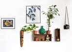 A statement wall is a great way to add personality and interest to any room in your home.