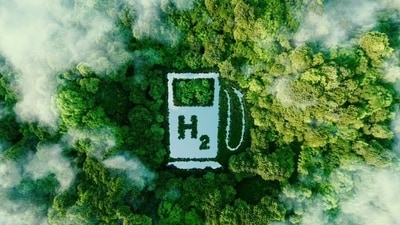 India is still a coal consumer, but it unveiled the National Green Hydrogen Mission earlier this year. (Shutterstock) India is still a coal consumer, but it unveiled the National Green Hydrogen Mission earlier this year. (Shutterstock)