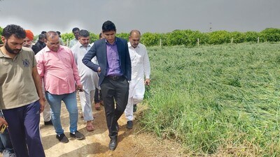 On Friday, amid rain, a tornado hit the village causing injuries to a dozen persons, damage to several houses, uprooting trees and damaging kinnow orchards. (HT Photo) On Friday, amid rain, a tornado hit the village causing injuries to a dozen persons, damage to several houses, uprooting trees and damaging kinnow orchards. (HT Photo)