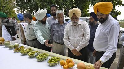 PAU vice -chancellor SS Gosal on the second day of mela in Ludhiana on Saturday. (Gurpreet Singh/HT photo) PAU vice -chancellor SS Gosal on the second day of mela in Ludhiana on Saturday. (Gurpreet Singh/HT photo)