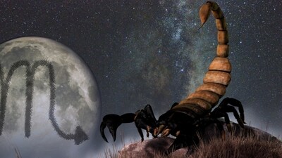 Weekly Horoscope Leo, March 25- April 1, 2023 This week is looking to be a fairly balanced one, with finance and profession both showing good prospects.