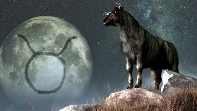 Taurus Daily Horoscope Today for March 25-April 1, 2023: This week, Tauris natives' profession is looking excellent with opportunities for appraisal and promotion. (shutterstock)