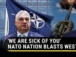 'WE ARE SICK OF YOU:' NATO NATION BLASTS WEST
