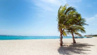 Ashwem Beach: A hidden gem in North Goa, Ashwem Beach is a quiet and secluded beach offering a peaceful and serene atmosphere. It is also known for its stunning sunsets and is a popular photography spot.&nbsp; (Pexels (Representative Image))