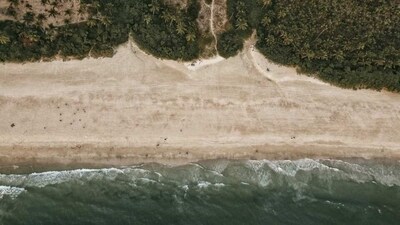 Galgibaga Beach: This pristine and isolated beach is located in South Goa. It is known for its stunning natural beauty and serene atmosphere. It is also a nesting site for endangered Olive Ridley turtles.&nbsp; (Pexels (Representative Image))