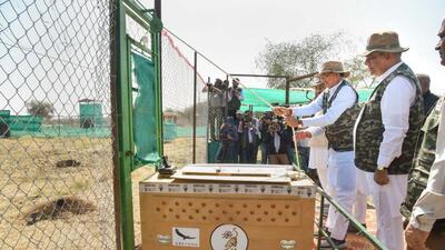 Madhya Pradesh chief minister Shivraj Singh Chouhan releases a cheetah at Kuno National Park on February 18. (PTI)