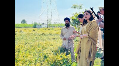 Punjab tourism minister Anmol Gagan Mann during field inspection in Mohali on Monday. (HT Photo)