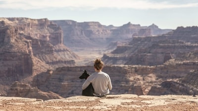 Pack enough food: Carry enough pet food for the entire journey just in case you do not find a pet store on the way to your destination. (Unsplash) Pack enough food: Carry enough pet food for the entire journey just in case you do not find a pet store on the way to your destination. (Unsplash)