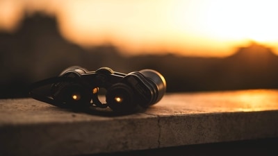 Binoculars: A pair of binoculars will help you get a closer look at the wildlife without disturbing their natural habitat.&nbsp; (Unsplash)