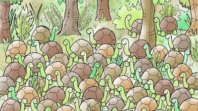 Viral Brain Teaser: Can you find a snake? (Facebook/@thedudolf) Viral Brain Teaser: Can you find a snake? (Facebook/@thedudolf)