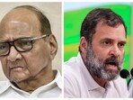 Sharad Pawar told the Congress that commenting on Savarkar won't help the party in Maharashtra as Savarkar is a revered figure in Maharahstra. 