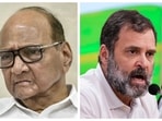 Sharad Pawar told the Congress that commenting on Savarkar won't help the party in Maharashtra as Savarkar is a revered figure in Maharahstra. 