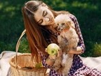 Dogs don’t have sweat glands hence their body tends to heat up very quickly Dogs don’t have sweat glands hence their body tends to heat up very quickly