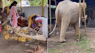 The image shows life-size elephant made using invasive weed. (Twitter/@supriyasahuias) The image shows life-size elephant made using invasive weed. (Twitter/@supriyasahuias)