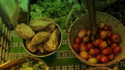 British shoppers have faced a shortage of tomatoes, cucumbers and peppers in recent weeks after disrupted harvests in north Africa reduced supply, (Twitter) British shoppers have faced a shortage of tomatoes, cucumbers and peppers in recent weeks after disrupted harvests in north Africa reduced supply, (Twitter)