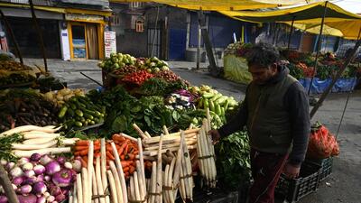 Kashmir recently sent two consignments of nadru to the UAE, triggering a hope that the international marketing of this vegetable could give its growers a fresh lease of life. (HT file photo)