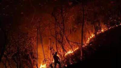 The CM added that 77 fires were detected in the month of March alone. (Representative HT file image)