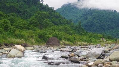 The Centre said the reserve will boost tourism in Dibang Valley district. (Shutterstock) The Centre said the reserve will boost tourism in Dibang Valley district. (Shutterstock)