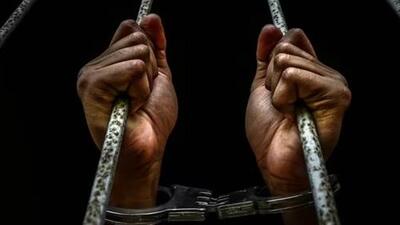 The Court was dealing with a suo moto petition on “Policy Strategy for bail”. (Representative file image) The Court was dealing with a suo moto petition on “Policy Strategy for bail”. (Representative file image)