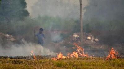 The Haryana government has successfully completed the pilot project to target farm fires in villages of Karnal district which have been declared in the red zone for reporting a maximum number of farm fires in the past few years. (HT Fille Photo)