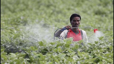 The Pune district has bettered its own record for crop loan disbursement for farmers, with  ₹4,130 crore loan released under Kisan Credit Card this year (REPRESENTATIVE IMAGE)
