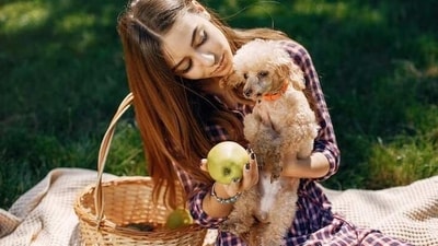 Dogs don’t have sweat glands hence their body tends to heat up very quickly (Freepik) Dogs don’t have sweat glands hence their body tends to heat up very quickly (Freepik)