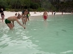 Tourists watch a newborn blacktip reef shark at the beach in Maya Bay at the Phi Phi Island National Park, on Phi Phi Leh Island, Krabi province, Thailand. Thailand tourism expects to see at least 30 million foreign tourists this year 