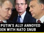 HOW PUTIN'S ALLY ANNOYED SWEDEN WITH NATO SNUB HOW PUTIN'S ALLY ANNOYED SWEDEN WITH NATO SNUB