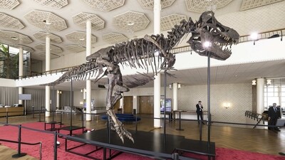 Visitors watch the skeleton of a Tyrannosaurus rex named Trinity, during a preview by auction house Koller at the Tonhalle Zurich concert hall, on Wednesday, in Zurich, Switzerland. (AP) Visitors watch the skeleton of a Tyrannosaurus rex named Trinity, during a preview by auction house Koller at the Tonhalle Zurich concert hall, on Wednesday, in Zurich, Switzerland. (AP)