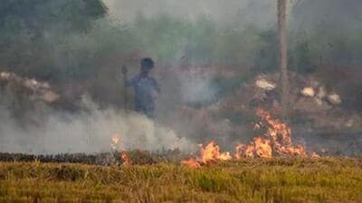 The chairman of the Commission for Air Quality Management (CAQM) in the NCR and adjoining areas MM Kutty has directed Haryana to achieve zero stubble burning during the kharif harvesting season. (HT File Photo) The chairman of the Commission for Air Quality Management (CAQM) in the NCR and adjoining areas MM Kutty has directed Haryana to achieve zero stubble burning during the kharif harvesting season. (HT File Photo)