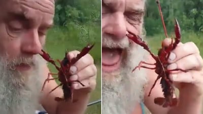 The image shows the creature pinching the man's nose. (Screengrab) The image shows the creature pinching the man's nose. (Screengrab)
