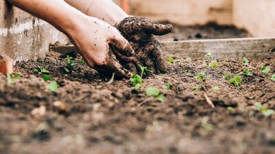 Understand your soil: The quality of your soil can make or break your garden. Take the time to understand the composition of your soil and add any necessary amendments to improve its quality. You can also consider using raised beds or container gardening to ensure optimal soil conditions.&nbsp; (Unsplash)