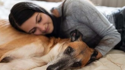 People experiencing sleep difficulties can also benefit greatly as presence of a pet can relax one deeply and aid in a restful sleep. (Freepik) People experiencing sleep difficulties can also benefit greatly as presence of a pet can relax one deeply and aid in a restful sleep. (Freepik)