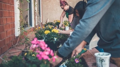 Use mulch: Mulching your garden helps to retain moisture, suppress weeds, and regulate soil temperature. It also adds organic matter to your soil as it decomposes. You can use a variety of materials for mulch, such as leaves, straws, or compost.&nbsp; (Unsplash)
