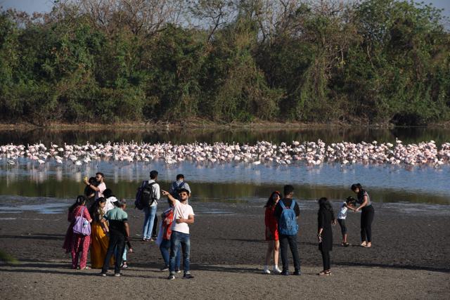 No disturbing birds says NMMC, action against trespassers at Seawoods in Navi Mumbai, India, on Wednesday, March 29, 2023. (Bachchan Kumar/ HT PHOTO) No disturbing birds says NMMC, action against trespassers at Seawoods in Navi Mumbai, India, on Wednesday, March 29, 2023. (Bachchan Kumar/ HT PHOTO)