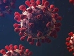 The XBB 1.16 subvariant is a highly transmissible variant with high infectivity rate (Representative Image)