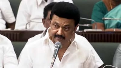 Tamil Nadu chief minister MK Stalin. (ANI) Tamil Nadu chief minister MK Stalin. (ANI)